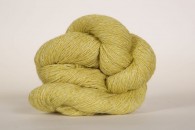 Sylph S29 Maidenhair