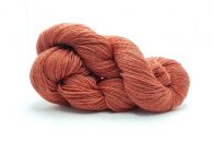 Sylph S38 Tagine